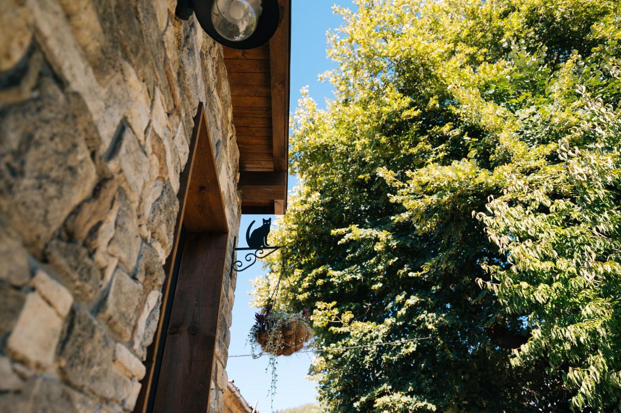 Luxury Studio Veliko Tŭrnovo Exterior photo